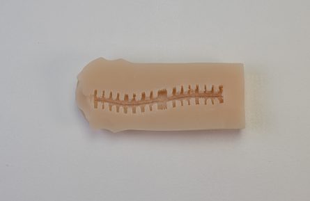 Ultimate Vagina STANDARD - Image 8