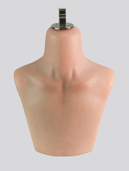 Silicone display torso - Image 1